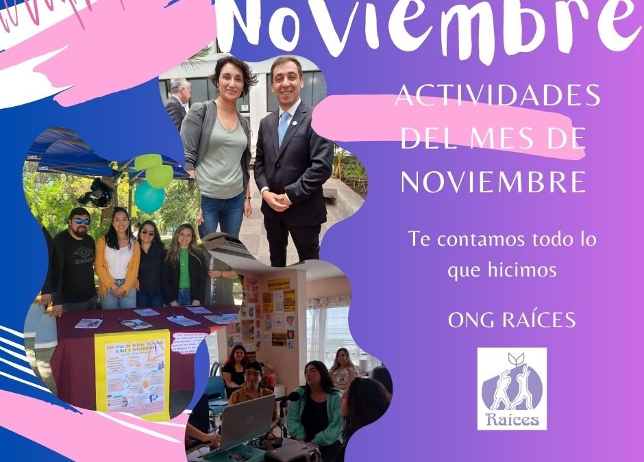 #Noviembre en ONG Raíces ¡Te contamos lo que hicimos!