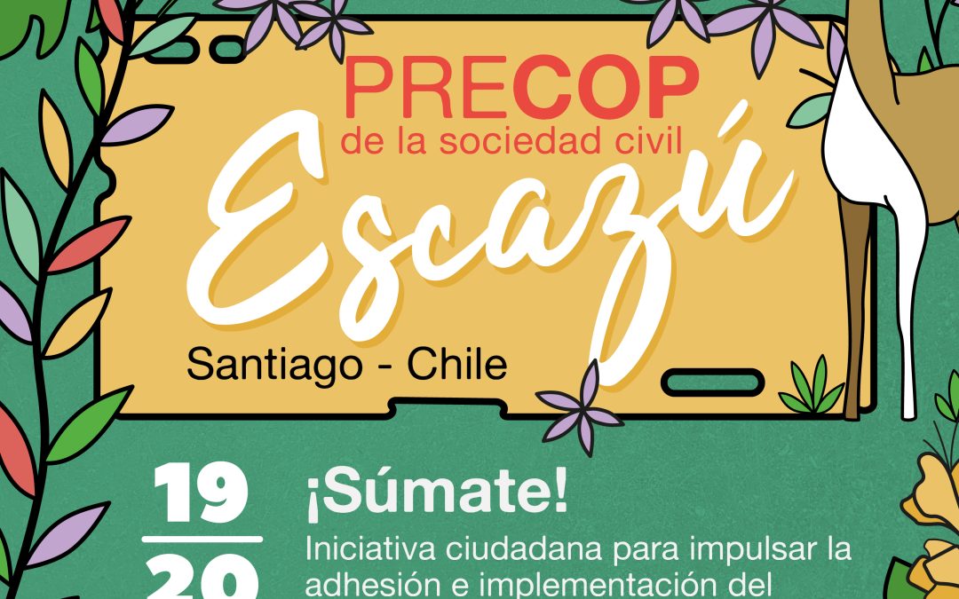 ¡Atención! ¡Se viene la Pre-Cop De Escazú!