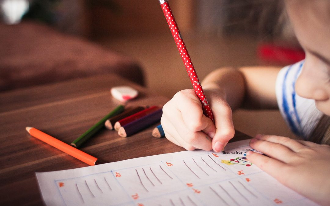 PNUD: Desigualdades territoriales y el desarrollo humano de los Niños, Niñas y Adolescentes en Chile