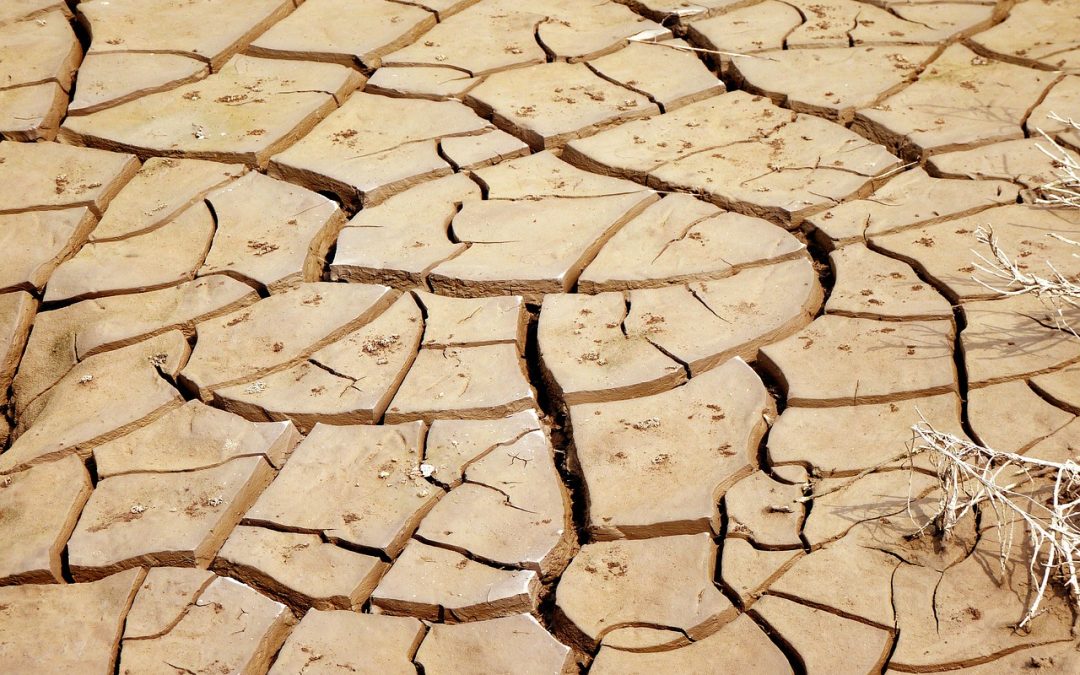 El cambio climático empujará a casi seis millones de niños y jóvenes a la pobreza en América Latina