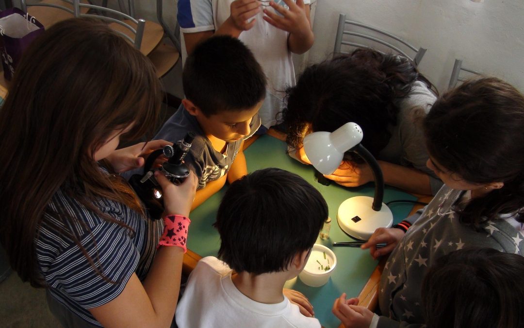Niñez en Chile: campaña busca fortalecer a las familias para prevenir la vulneración de derechos